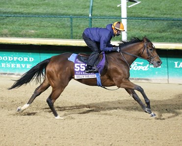 Bell's the One - Horse Profile - BloodHorse