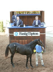 The Nyquist filly consigned as Hip 75 in the ring at the Fasig-Tipton California Sale
