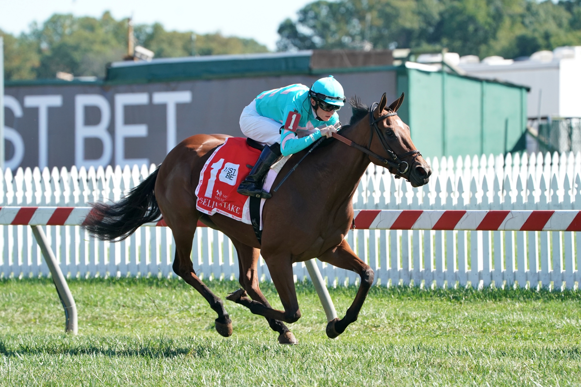 Fluffy Socks wins Longines Churchill Distaff Turf Mile Stakes Gr