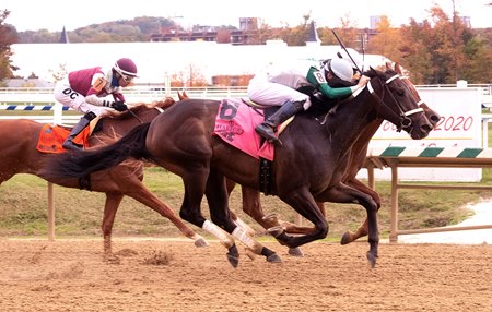 Miss Nondescript wins the Maryland Million Lassie Stakes at Laurel Park