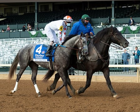 Crazy Beautiful Heads 14 Keeneland November Supplements Bloodhorse