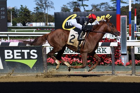 Performer returned from an extended layoff to win an allowance level race Oct. 17 at Belmont Park