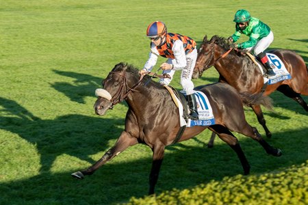 Ivar captures the 2020 Turf Mile at Keeneland