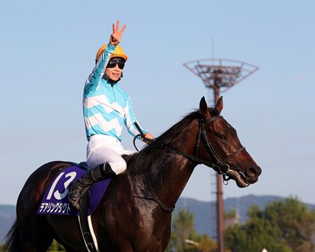 Daring Tact returns from her win in the 2020 Shuka Sho at Kyoto Racecourse