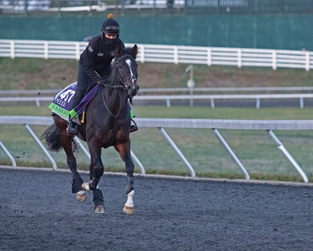 Kameko gallops on Keeneland's training track Nov. 2