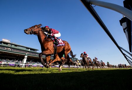 Golden Pal wins the 2020 Breeders' Cup Juvenile Turf Sprint at Keeneland 