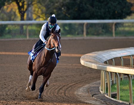 Jackie's Warrior trains ahead of the 2020 Breeders' Cup at Keeneland 