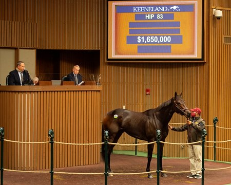 Ollie S Candy Sells For 1 65m At Keeneland November Bloodhorse