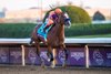 Authentic ridden by John Velazquez wins the $2M Breeders’ Cup Classic G1 at Keeneland Race Course Saturday Nov. 7,  2020 in Lexington, KY.  Photo by Skip Dickstein