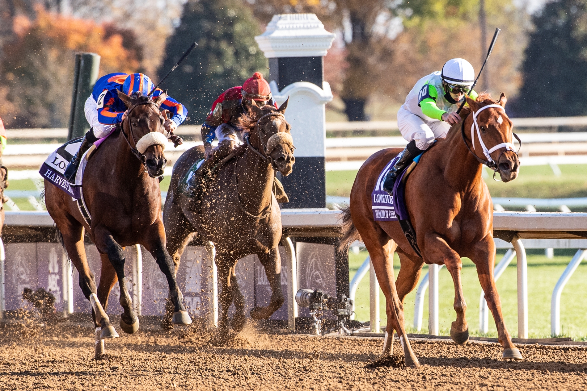 Monomoy Girl Back on Top With Second Distaff Win BloodHorse