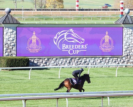 Wet Keeneland Turf Drying Before Breeders Cup Bloodhorse