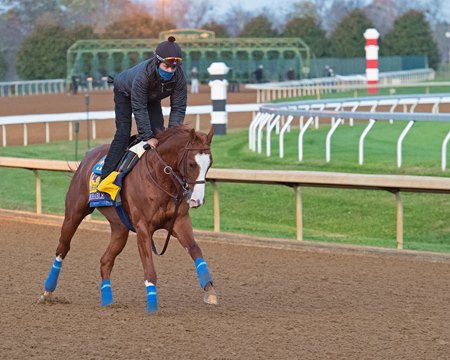 Improbable Leads Baffert Trio in Breeders' Cup Classic - TrueNicks.com