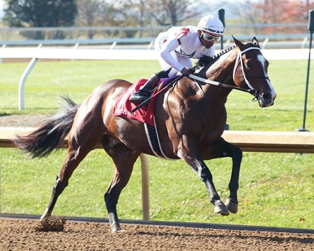 Nashville Sets Keeneland Track Record In Perryville Bloodhorse