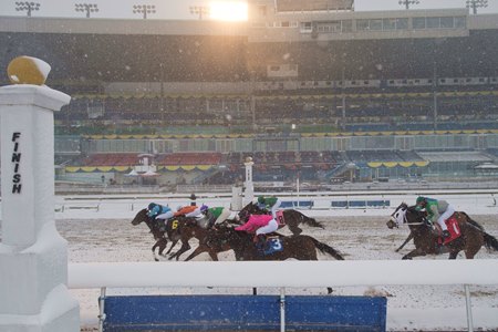 Racing at Woodbine on Nov. 22, the final day of its 2020 meet