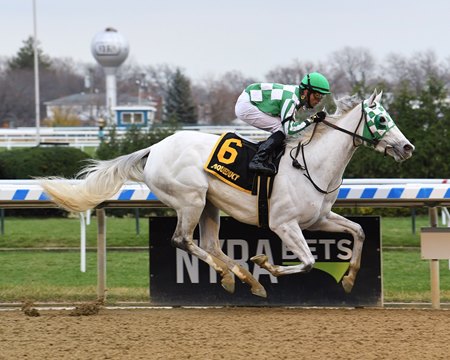 Mrs. Danvers wins the Comely Stakes at Aqueduct Racetrack
