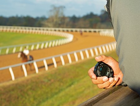 The training track at Blackwood Stables