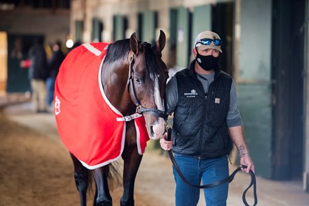 War of Will walks the shedrow Nov. 5 at Keeneland 