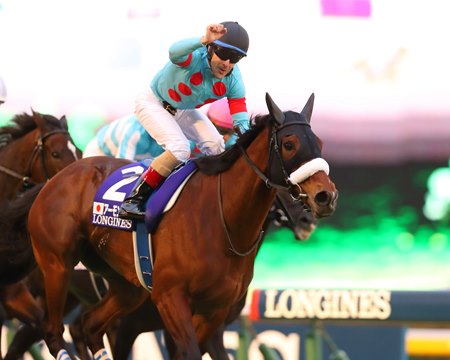 Almond Eye wins the Japan Cup at Tokyo Racecourse
