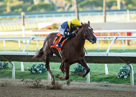 Astute 2-for-2 After Desi Arnaz Stroll - BloodHorse