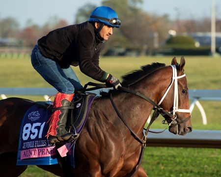 Aunt Pearl trains ahead of the Breeders' Cup at Keeneland
