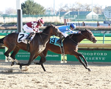 Warrior in Chief - Horse Profile - BloodHorse