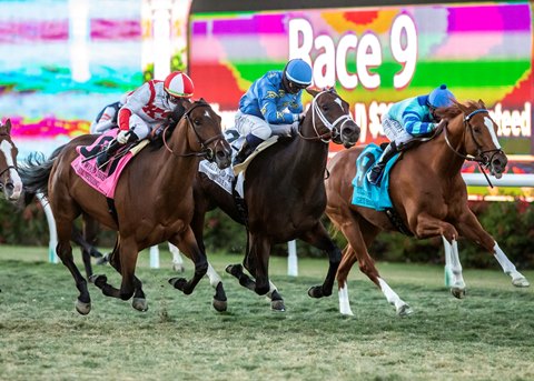 Del Mar Increases Purses For 2021 Fall Stakes Schedule - Bloodhorse