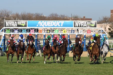 Horses break from the gate at Aqueduct Racetrack