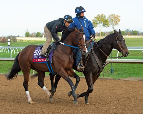 Nashville Makes Long Awaited Return at Oaklawn Dec. 10 - BloodHorse