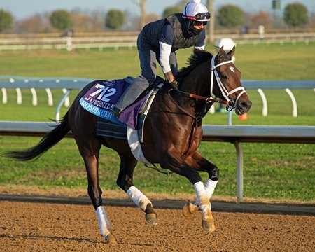 Rombauer trains Nov. 5 before the Breeders' Cup at Keeneland