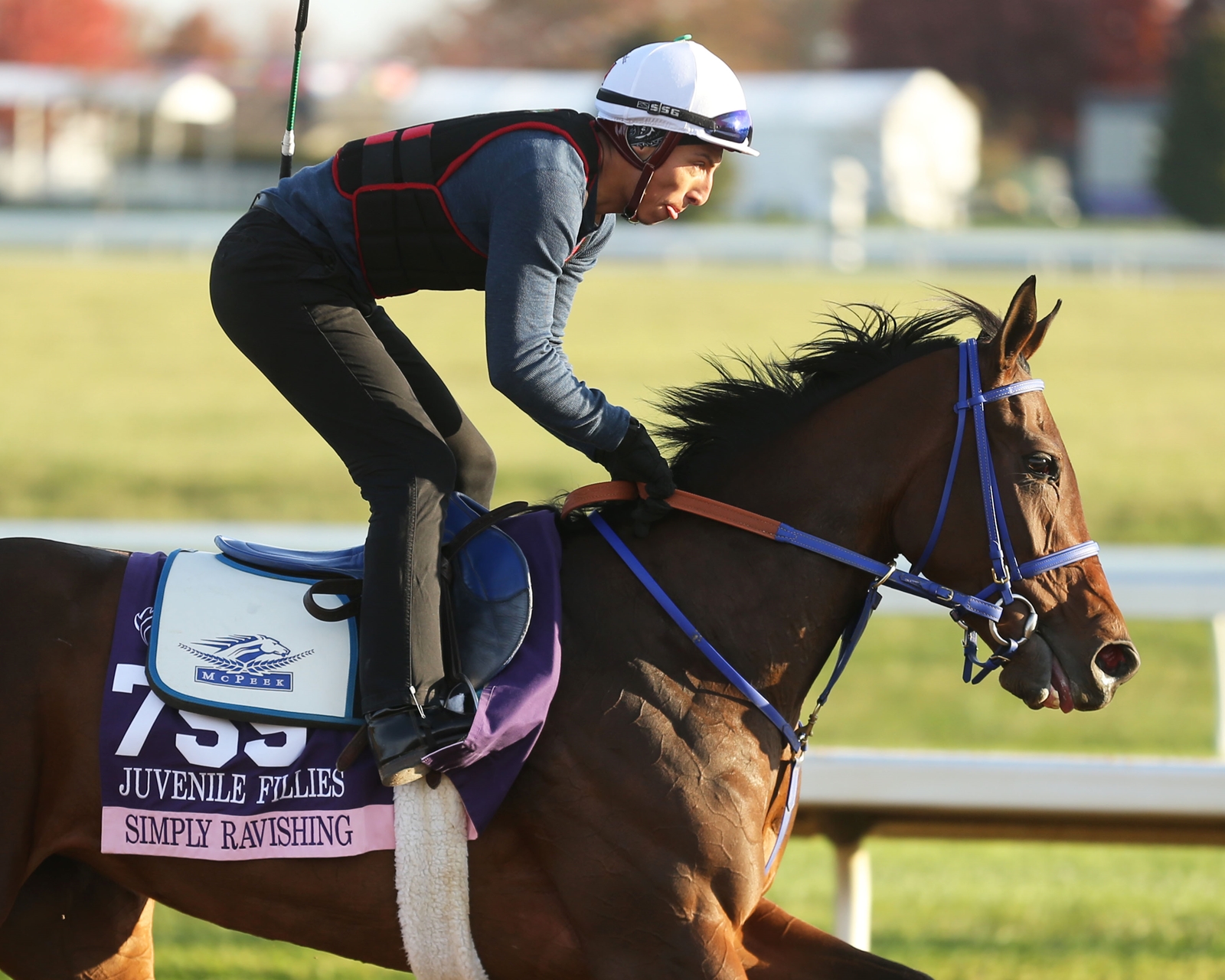 Grade 1 Winner Simply Ravishing Returns To Training - BloodHorse