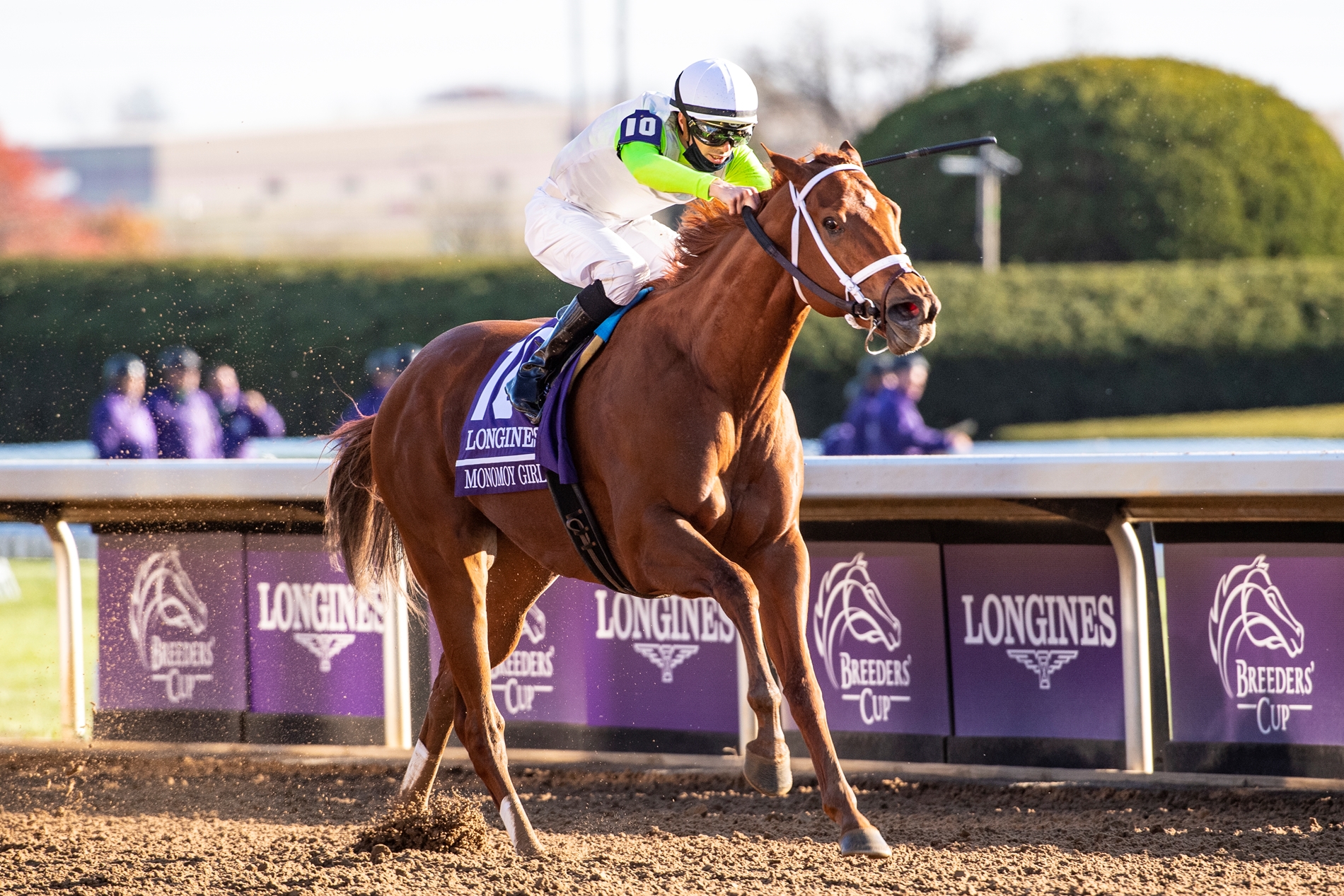 Monomoy Girl a Dual Champion After Perfect Season BloodHorse