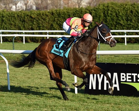 Lead Guitar wins the 2020 Autumn Days Stakes at Aqueduct Racetrack