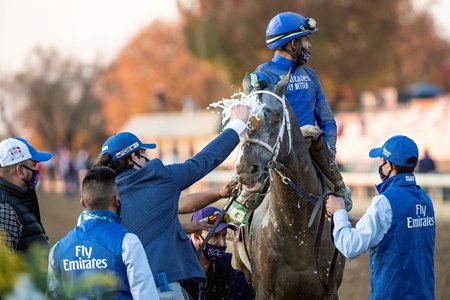 Essential Quality receives a cool down after winning the Breeders' Cup Juvenile at Keeneland