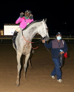 Dox Folly - Horse Profile - BloodHorse
