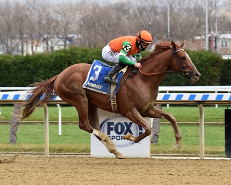 Forza Di Oro wins the 2020 Discovery Stakes at Aqueduct Racetrack