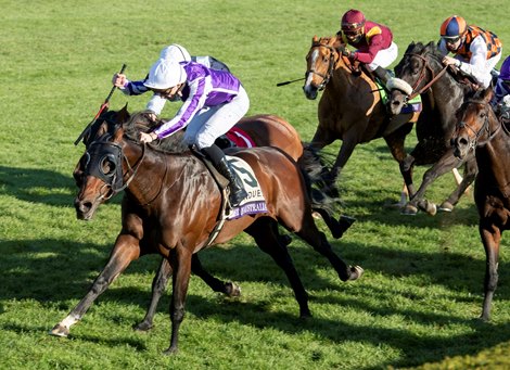 Order Of Australia Returns To Keeneland Bloodhorse