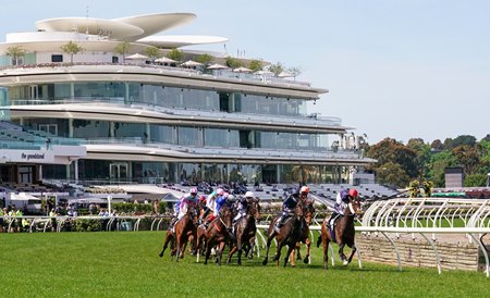 Horses race in the Melbourne Cup at Flemington 