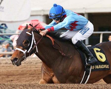 2014 Turf Paradise Derby winner Lotsa Mischief sired the top hip of the Arizona Fall Mixed Sale