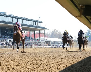 Highly Motivated Horse Profile Bloodhorse