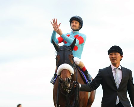 Almond Eye and jockey Christophe Lemaire after winning the 2020 Japan Cup at Tokyo Racecourse