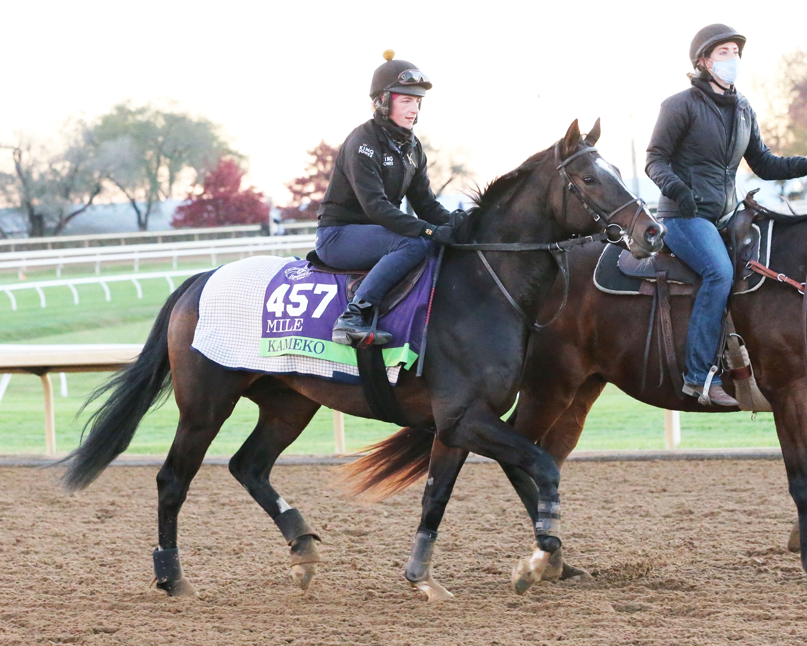 Tattersalls Sees First Kameko Yearling Sold in Ireland