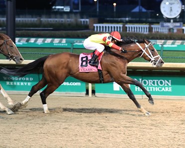 Bodexpress - Horse Profile - BloodHorse