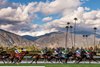 Scene at Santa Anita Park