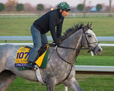 Tacitus trains ahead of the 2020 Breeders' Cup Classic at Keeneland