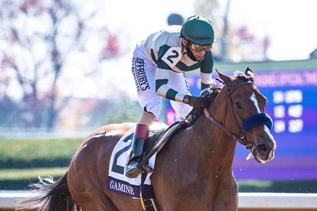 Gamine wins the Breeders' Cup FIlly & Mare Sprint at Keeneland