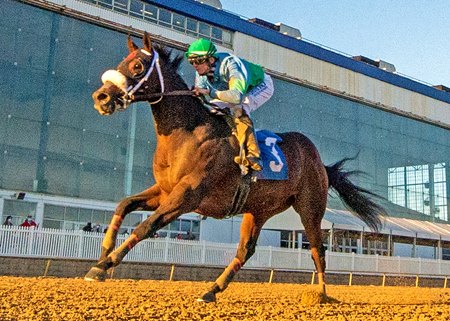 No Cents Street Lute Shine At Laurel Bloodhorse