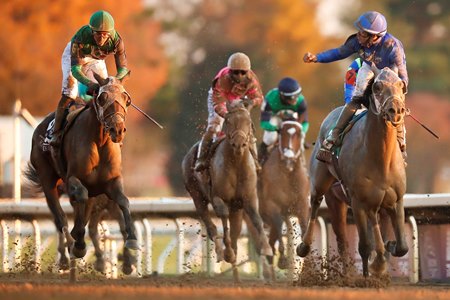 Essential Quality wins the Breeders' Cup Juvenile at Keeneland