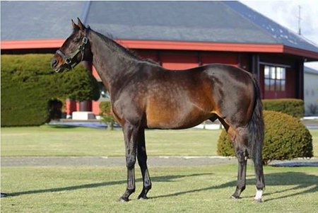 Victoire Pisa has been relocated to Turkey for the 2021 breeding season