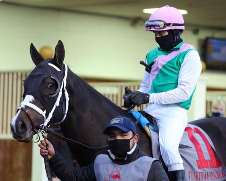 Set Piece in the paddock before winning the Prairie Bayou Stakes at Turfway Park