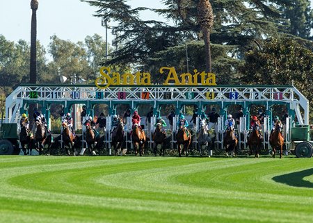 Horses break from the gate at Santa Anita Park